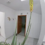 Kos Family House * Psalidi (Kos)