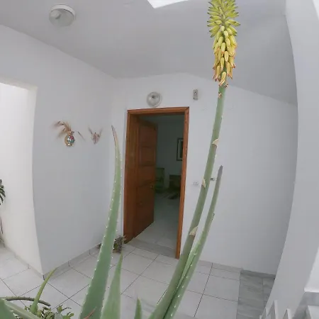 Kos Family House * Psalidi (Kos)